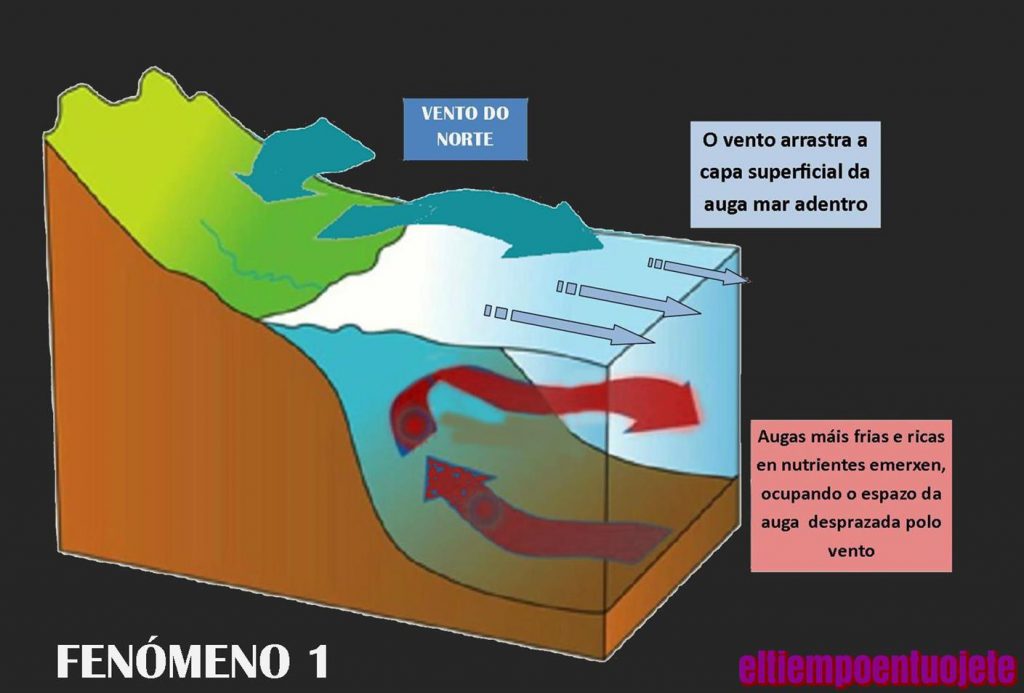 infografia formación da marea vermella fenómeno 2