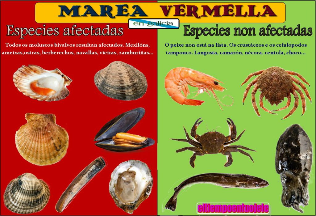 infografía especies afectadas pola marea vermella