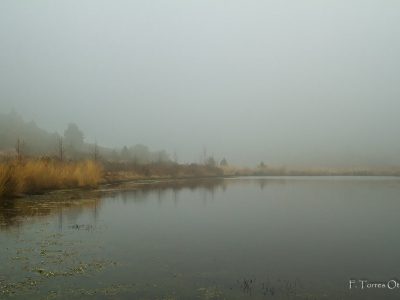 foto de nubes Estratos nebulosus opacus na lagoa do coirego para monografias de nubes foto de fran torres otero eltiempoentuojete