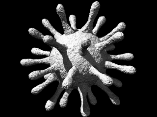 foto descripcion coronavirus para monografia de covid-19 eltiempoentuojete