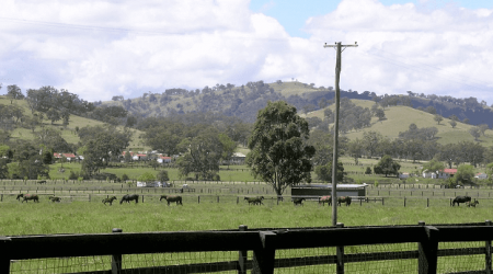 murrurundi agriculture new south wales primaveira 2020 eltiempoentuojete